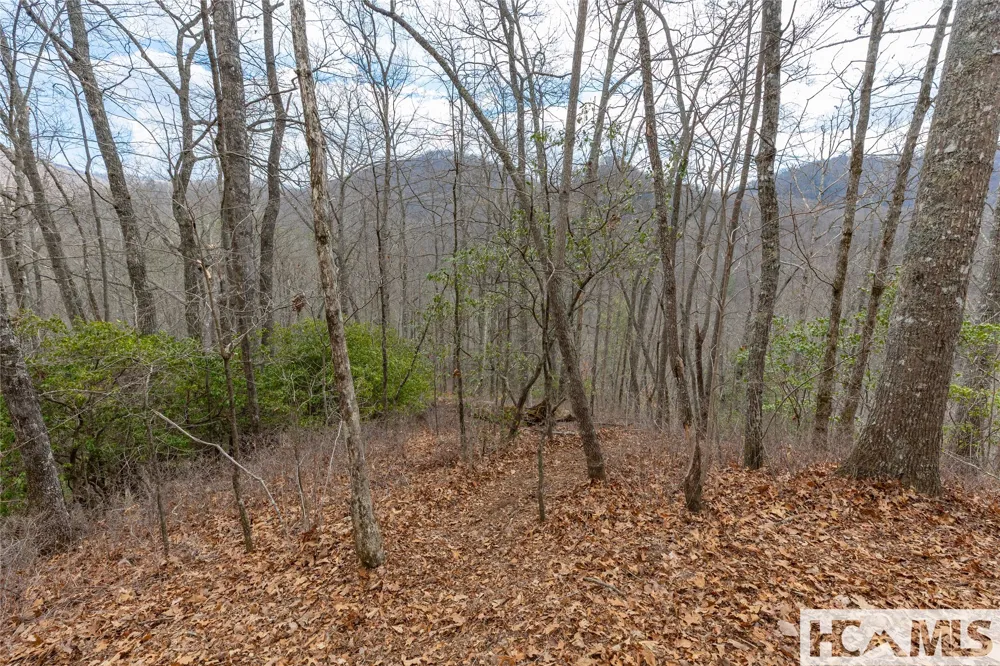 Lot 55 Cullowhee Forest Road Cullowhee, NC 28723