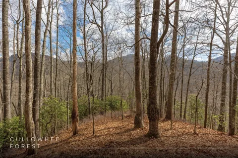 Lot 55 Cullowhee Forest Road