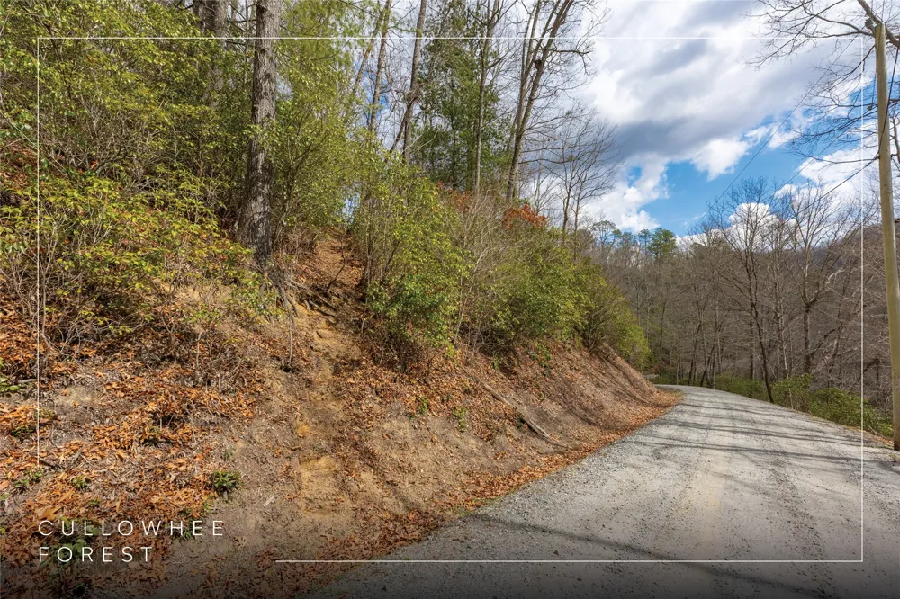 Lot 55 Cullowhee Forest Road Cullowhee, NC 28723