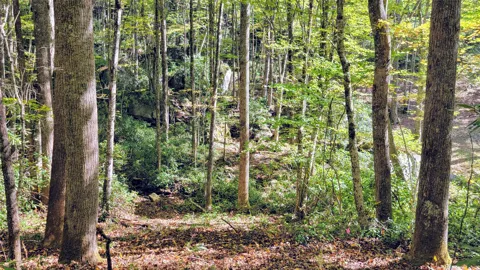 Lot PQ Spikemoss Road