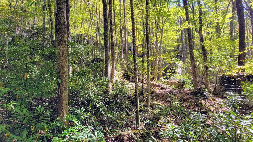 Lot PQ Spikemoss Road Sapphire, NC 28774