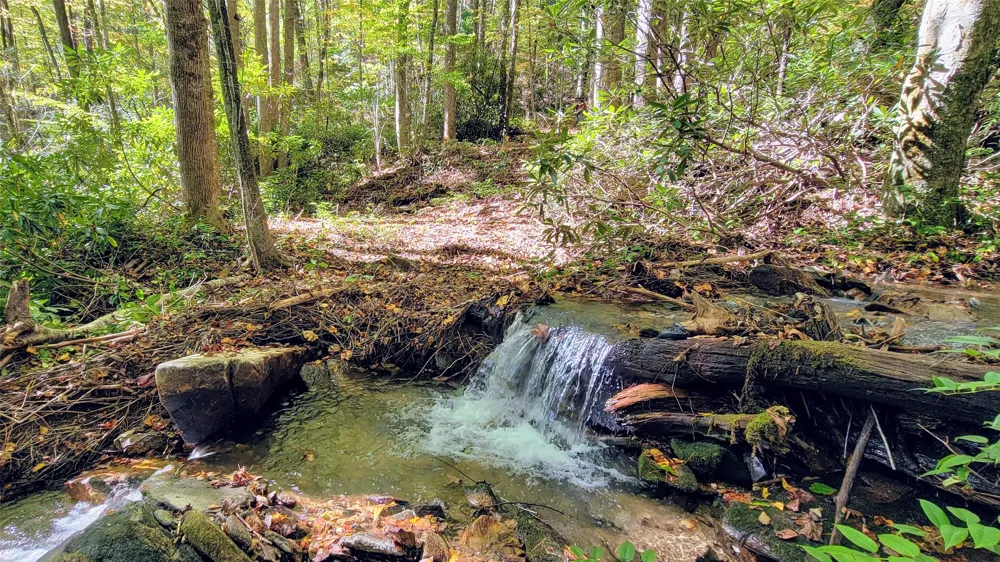 Lot HS Speckled Feather Pass Sapphire, NC 28774