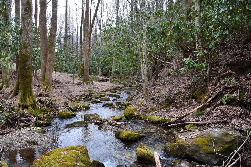 Lot HS Speckled Feather Pass Sapphire, NC 28774