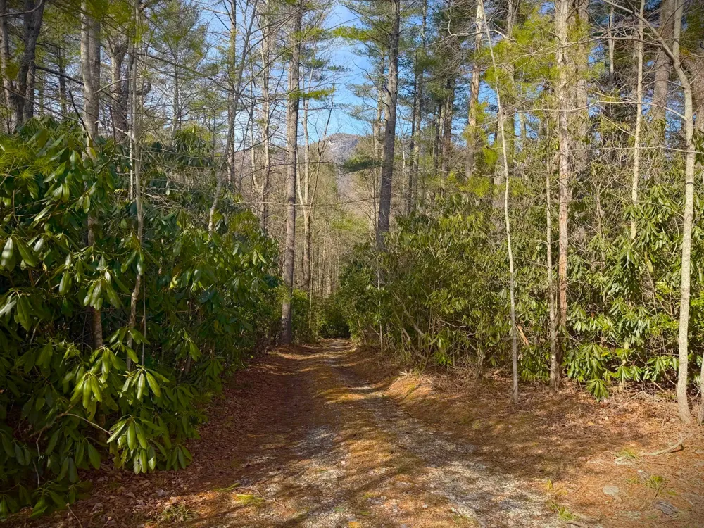 91 Lombard Lane Highlands, NC 28741