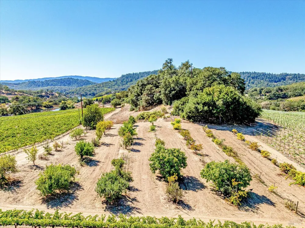 1740 Conn Valley Road St. Helena, CA 94574