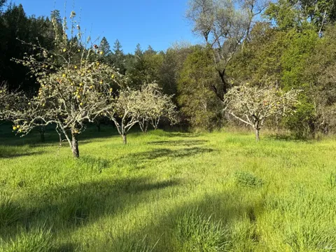 2660 Wallace Creek Road