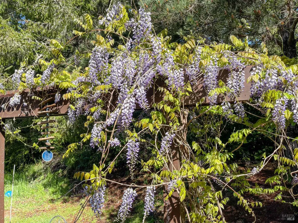 31191 Turner Road Fort Bragg, CA 95437