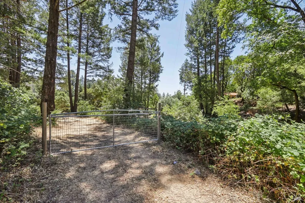 4601 Lake County Highway Calistoga, CA 94515