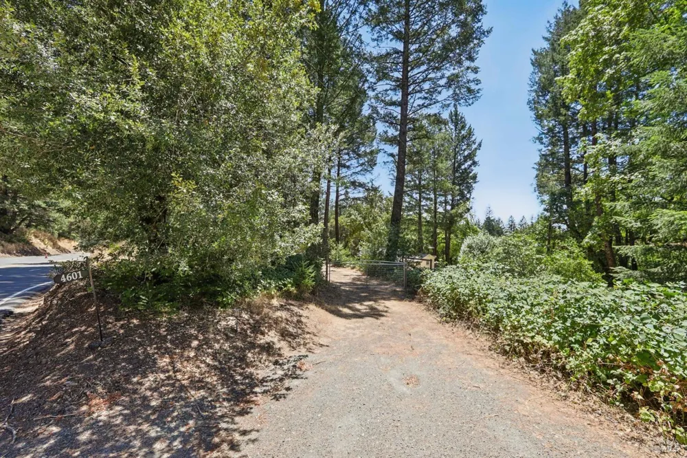 4601 Lake County Highway Calistoga, CA 94515