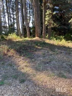 36359 Timber Ridge Road The Sea Ranch, CA 95497