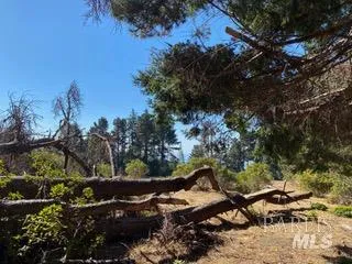 36359 Timber Ridge Road The Sea Ranch, CA 95497