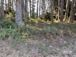 36359 Timber Ridge Road The Sea Ranch, CA 95497