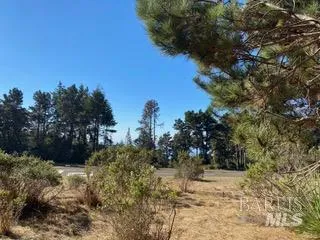 36359 Timber Ridge Road The Sea Ranch, CA 95497