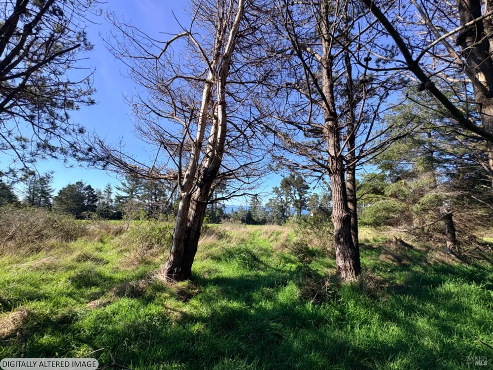 36359 Timber Ridge Road The Sea Ranch, CA 95497