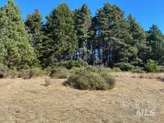 36359 Timber Ridge Road The Sea Ranch, CA 95497
