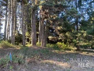 36359 Timber Ridge Road The Sea Ranch, CA 95497