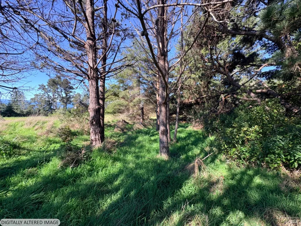 36359 Timber Ridge Road The Sea Ranch, CA 95497