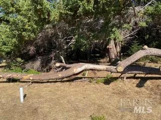 36359 Timber Ridge Road The Sea Ranch, CA 95497