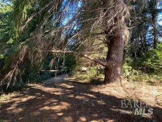 36359 Timber Ridge Road The Sea Ranch, CA 95497