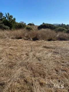 36359 Timber Ridge Road The Sea Ranch, CA 95497