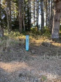 36359 Timber Ridge Road The Sea Ranch, CA 95497
