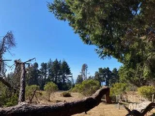 36359 Timber Ridge Road The Sea Ranch, CA 95497