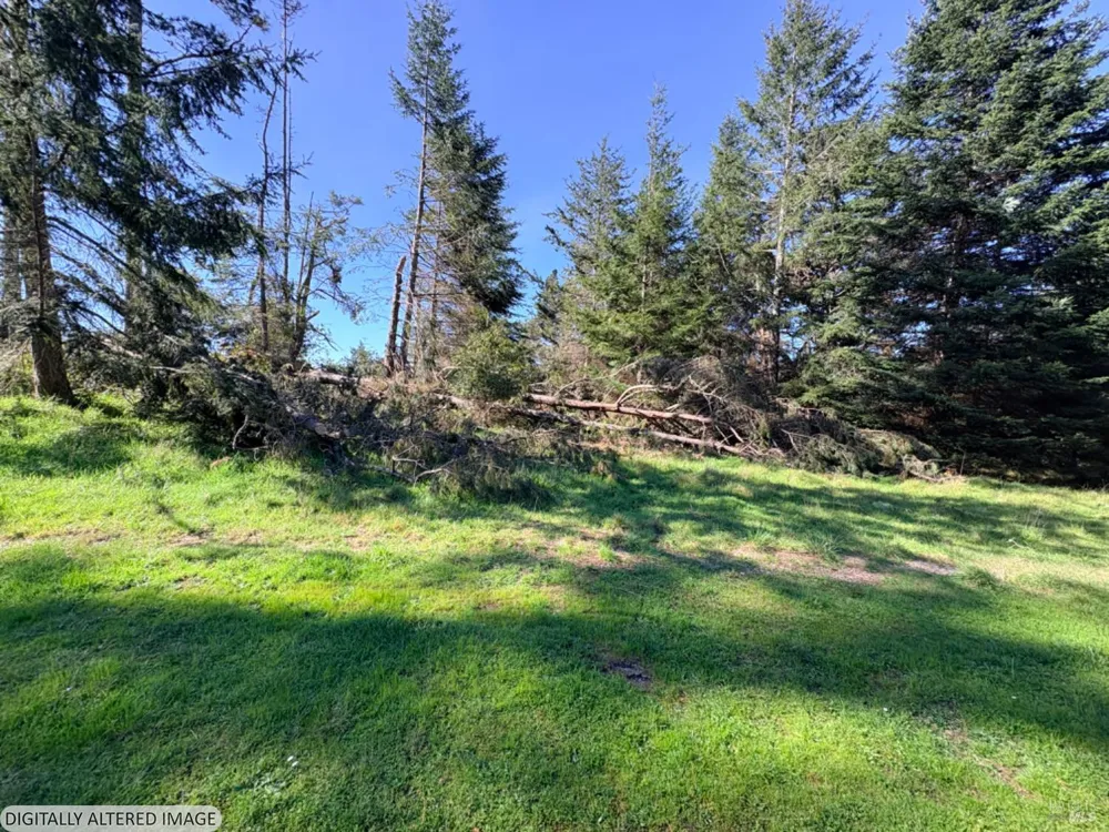 36359 Timber Ridge Road The Sea Ranch, CA 95497