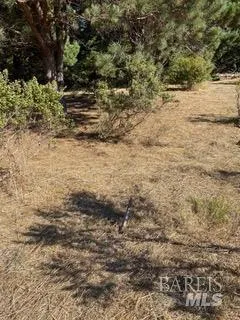 36359 Timber Ridge Road The Sea Ranch, CA 95497