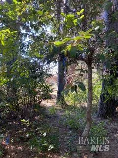 36359 Timber Ridge Road The Sea Ranch, CA 95497