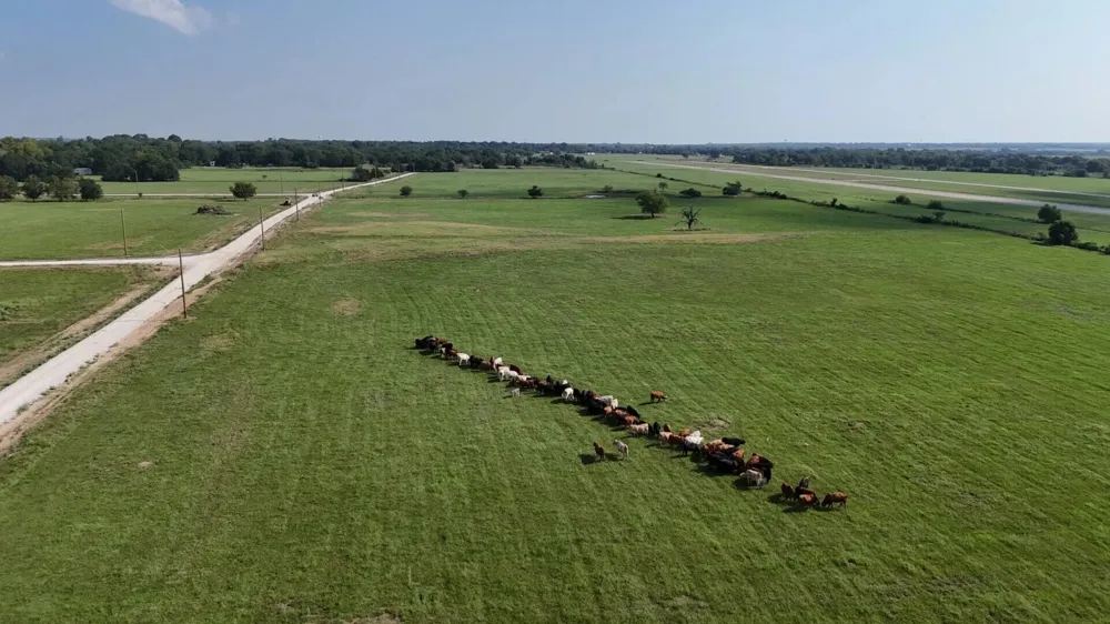 County Road 463 Mexia, TX 76667