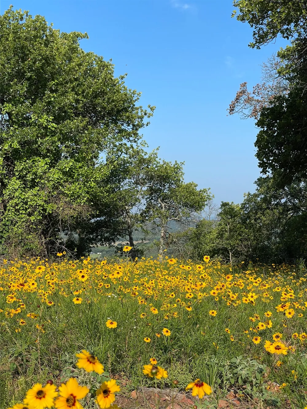 1390 Clayton Mountain Road Gordon, TX 76453