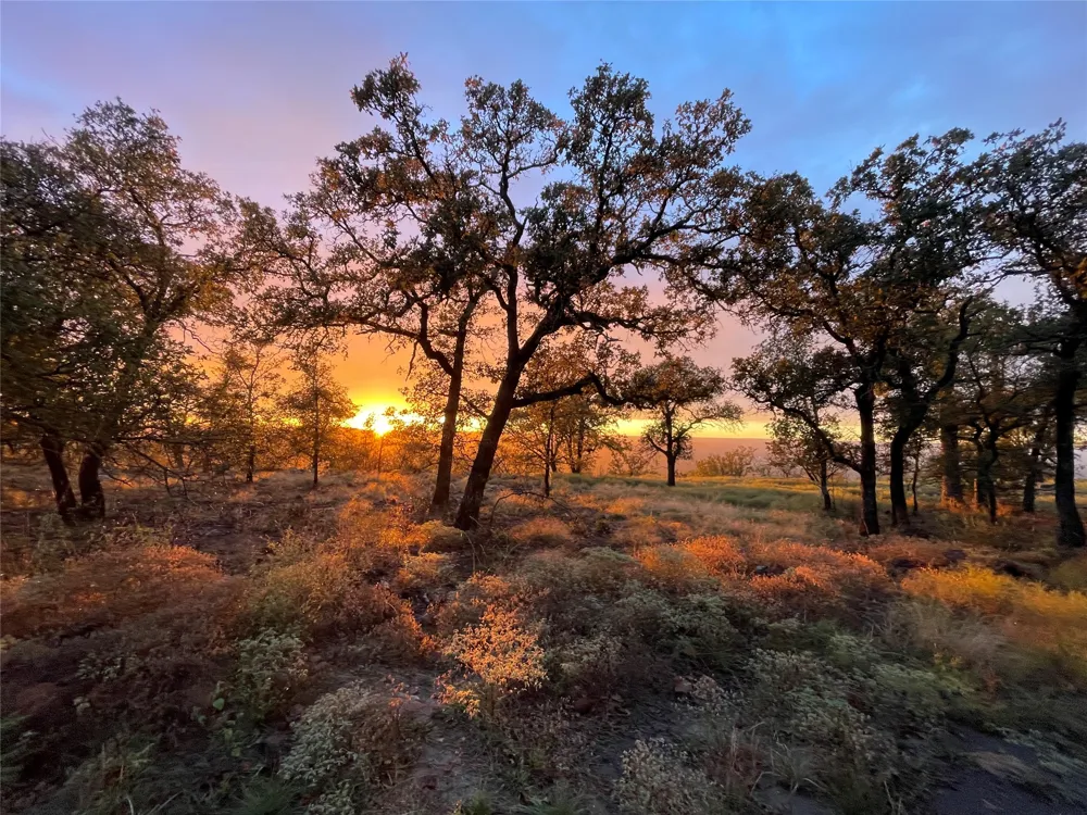 1390 Clayton Mountain Road Gordon, TX 76453