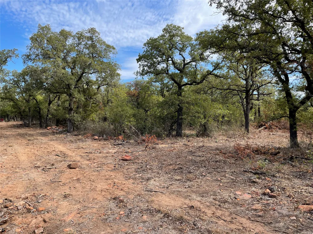 1390 Clayton Mountain Road Gordon, TX 76453