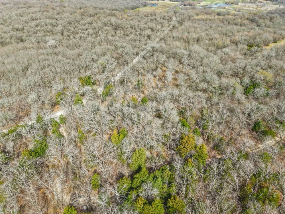 CR 2400 Terrell, TX 75160