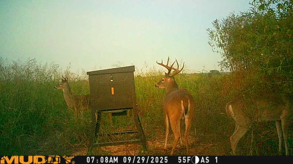 220 County Road 3310 Valley Mills, TX 76689