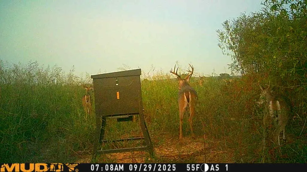 220 County Road 3310 Valley Mills, TX 76689