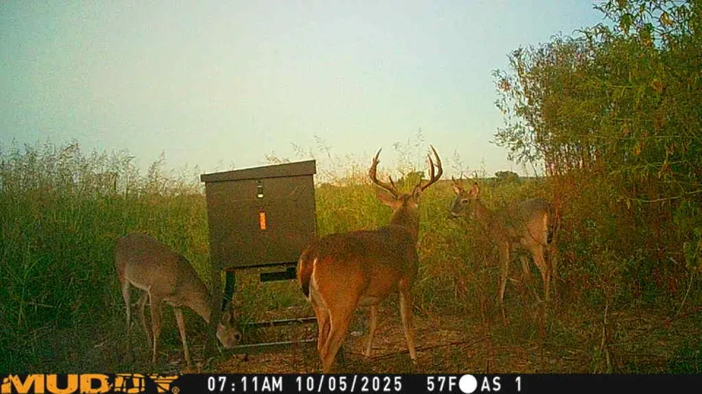 220 County Road 3310 Valley Mills, TX 76689