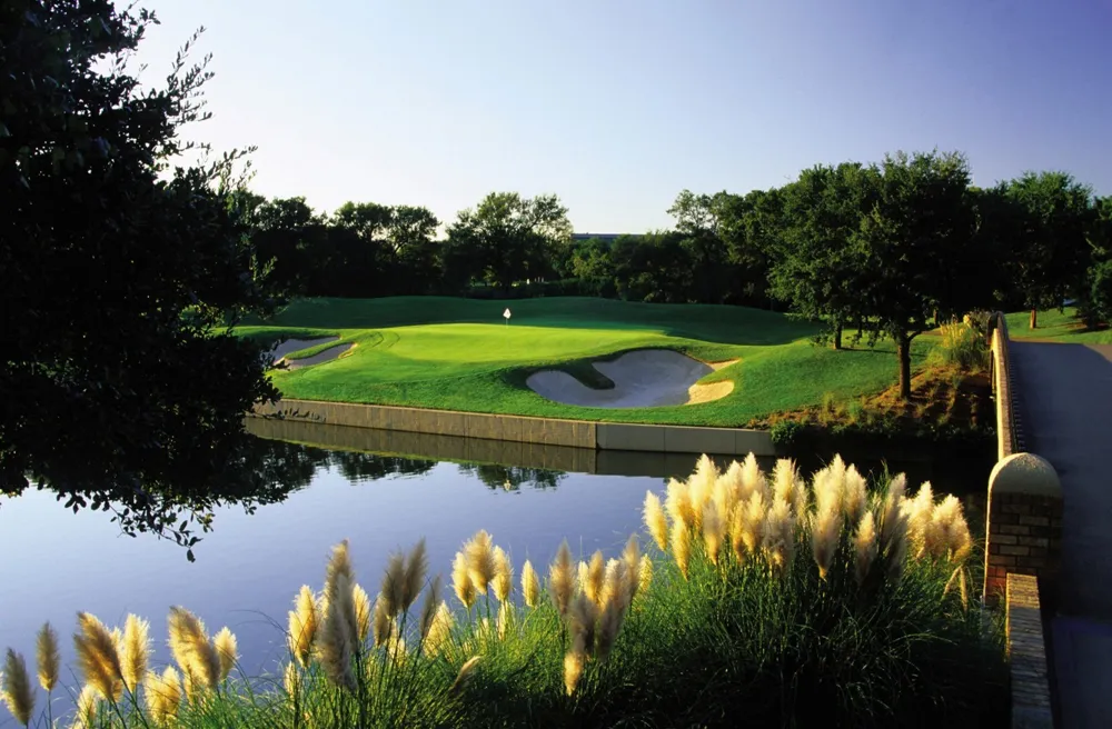 1364 Cherry Hills Lane Irving, TX 75038