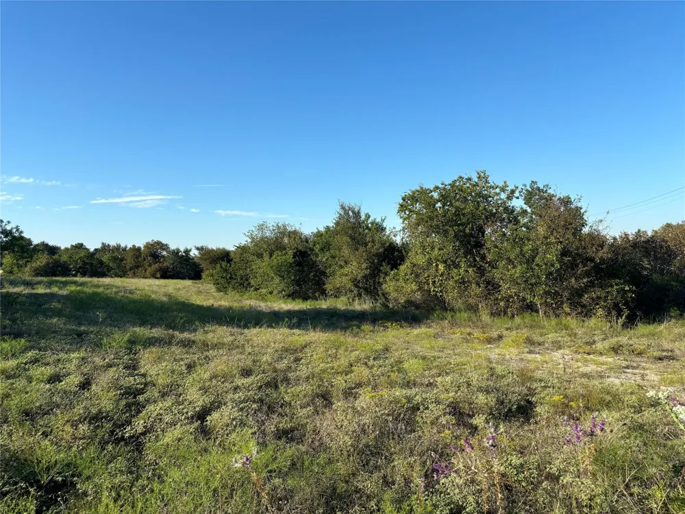 2401 True Grit Way Cresson, TX 76035