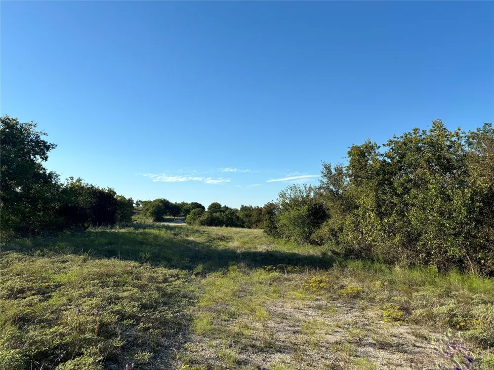 2401 True Grit Way Cresson, TX 76035
