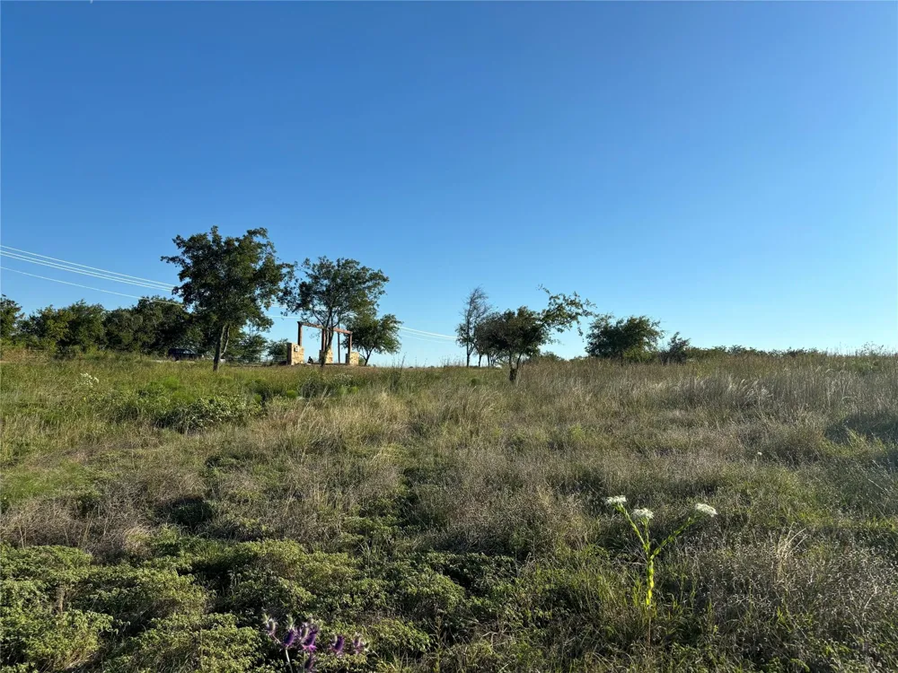 2401 True Grit Way Cresson, TX 76035