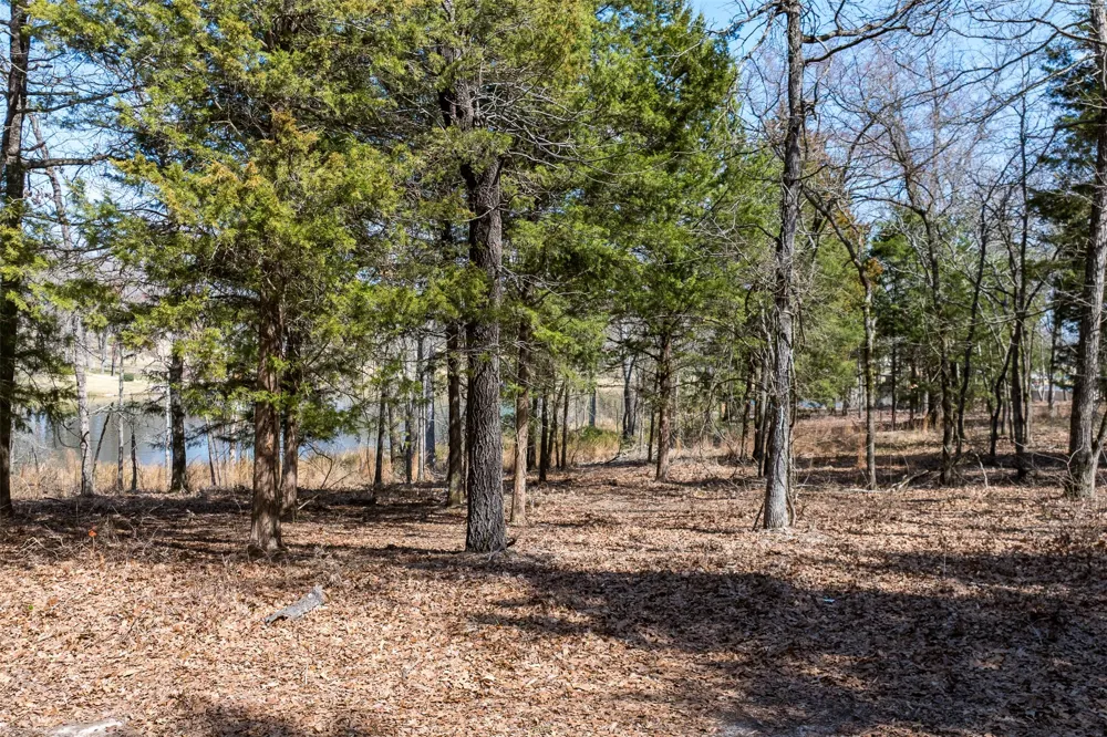 Windward Court Athens, TX 75752