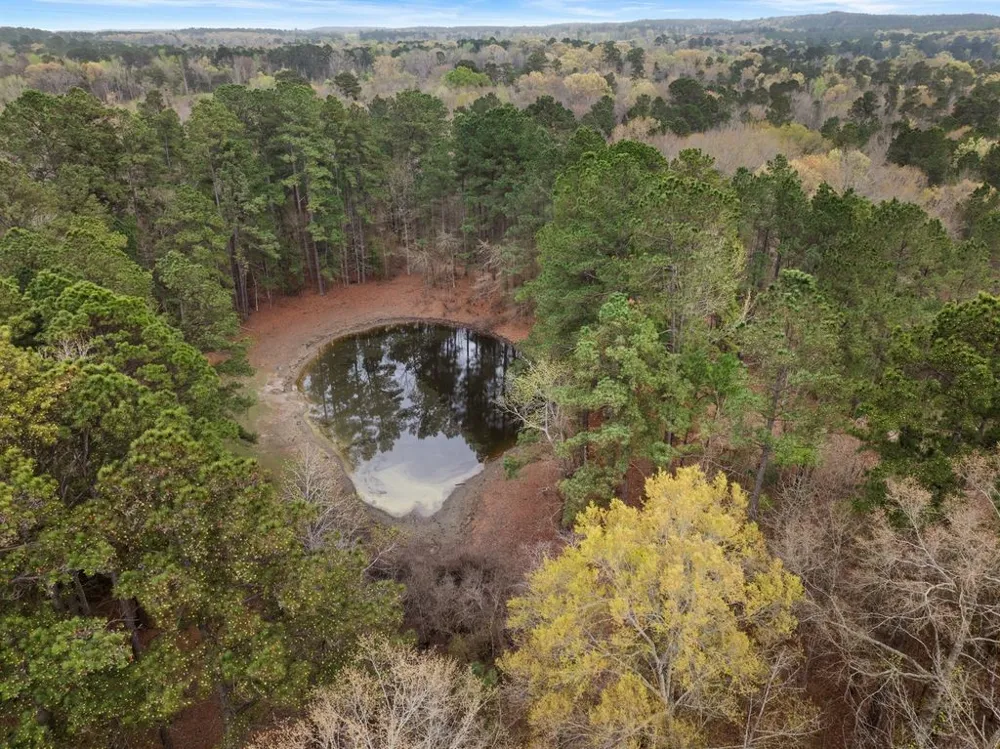 Old HWY 11 Road Daingerfield, TX 75638