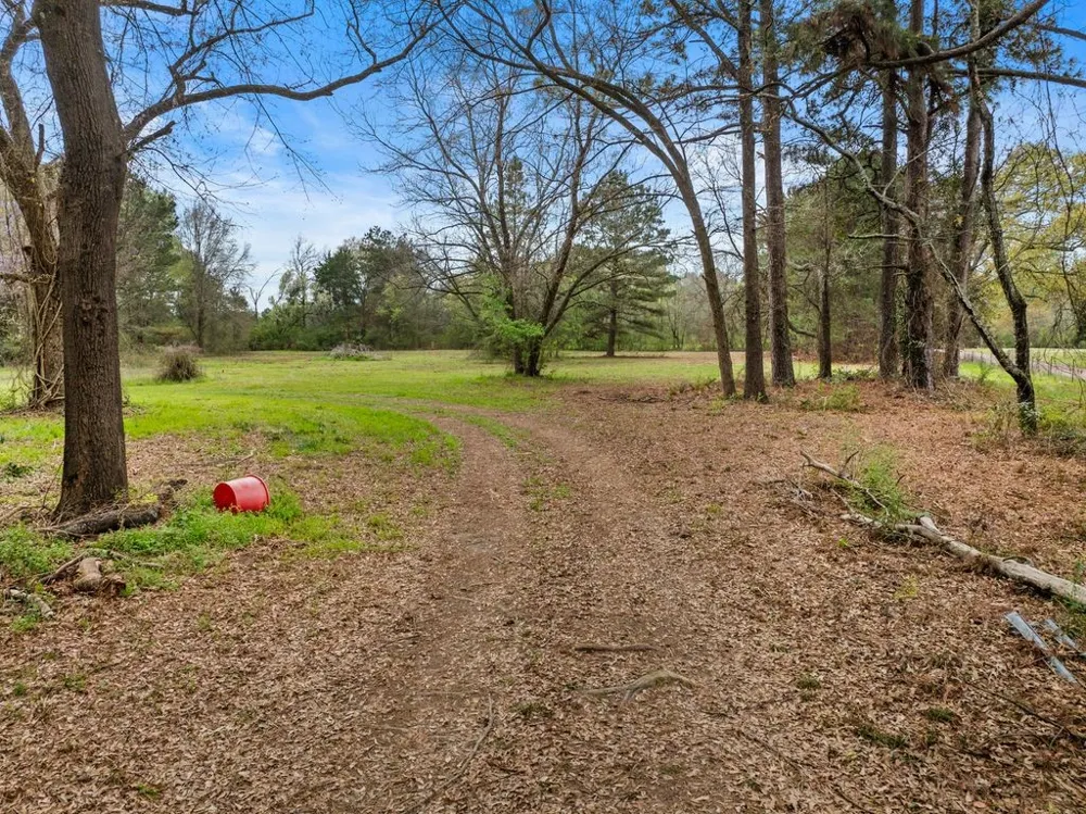Old HWY 11 Road Daingerfield, TX 75638