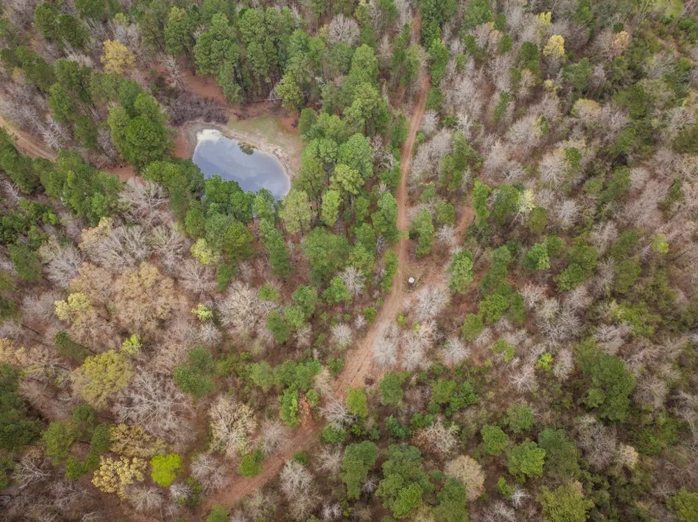 Old HWY 11 Road Daingerfield, TX 75638