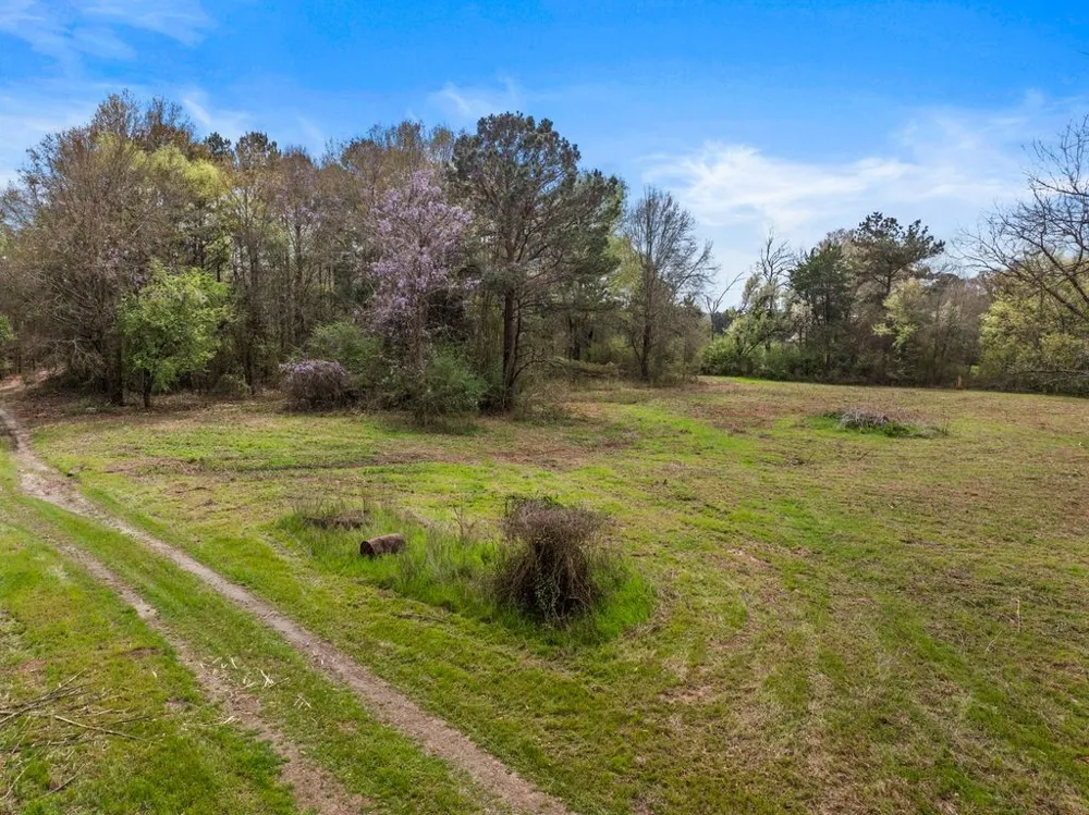 Old HWY 11 Road Daingerfield, TX 75638