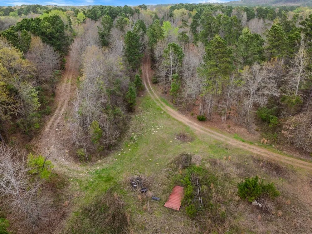 Old HWY 11 Road Daingerfield, TX 75638