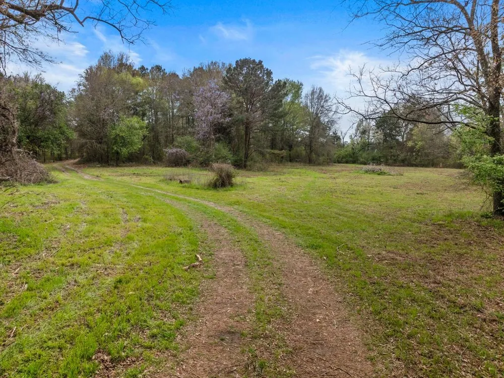 Old HWY 11 Road Daingerfield, TX 75638