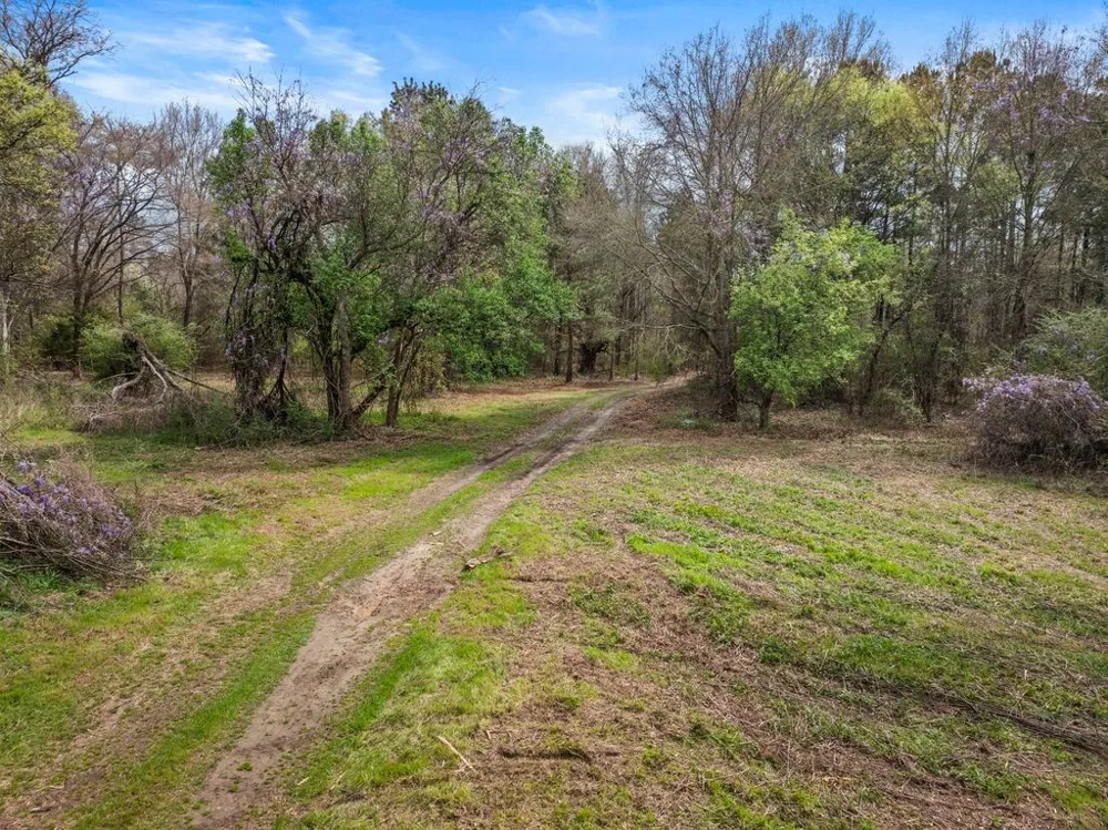Old HWY 11 Road Daingerfield, TX 75638