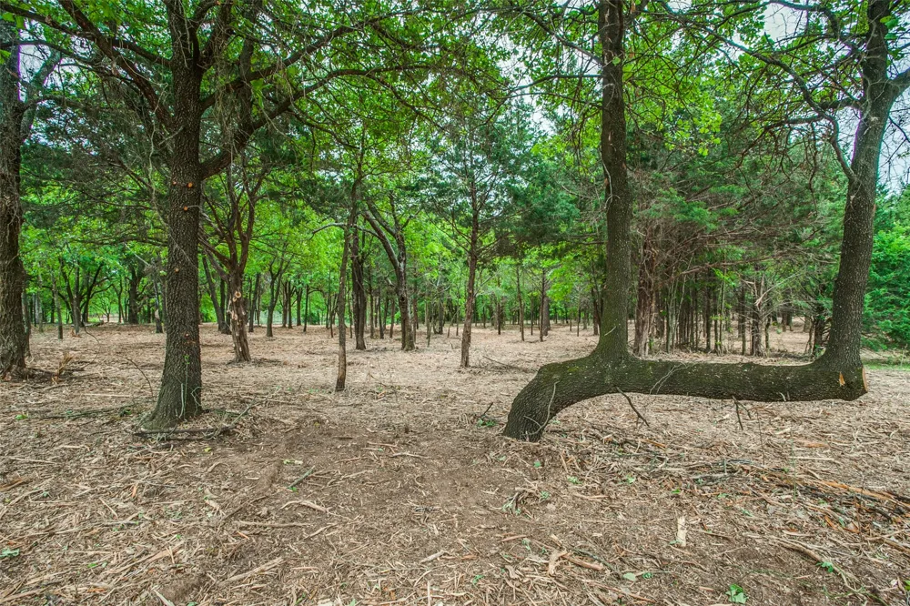 E Farm to Market 455 Pilot Point, TX 76258